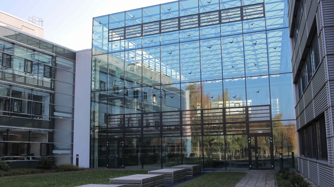 Innenhof der Max-Planck-Gebäude (Credit: AEI)